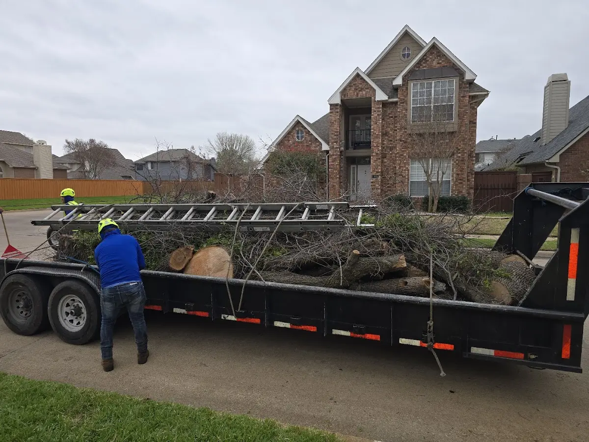 Expert Lot Clearing with proper safety equipment in Nanticoke